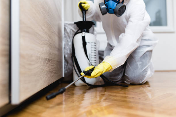 Best Cockroach Control Services  in Elk Grove Vlage, IL