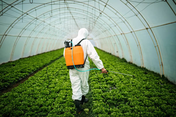 Trusted Elk Grove Village, IL Pest Control Experts