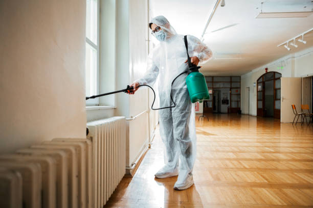 Best Bed Bug Extermination  in Elk Grove Vlage, IL
