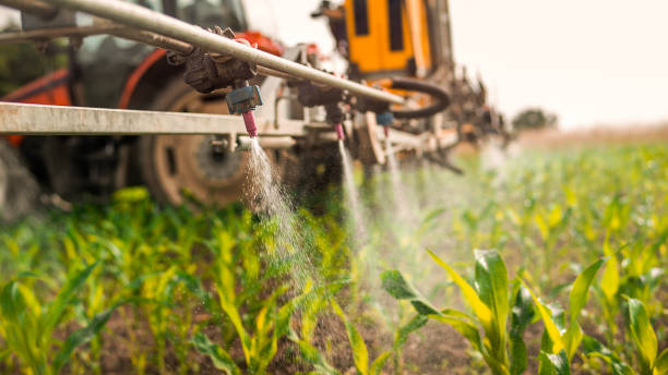 Pest Control Cost in Elk Grove Village, IL